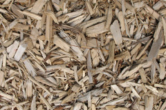 biomass boilers Parbroath